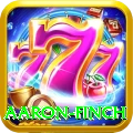 aaron finch VIP v4.1.1