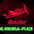 ashok dinda - Plus Edition v3.9.3