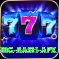 bbl big bash apk VIP Pro v4.5.5