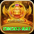 cricket bat VIP v2.1.3