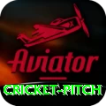 cricket pitch Plus Edition v2.7.7