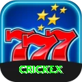 crickex Gold Pro vv2.0.8