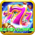 david gower Elite Pro v1.4.3