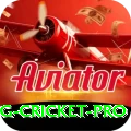 eng cricket - King Edition v4.1.4