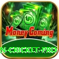 fastest ball in cricket - Champion Earning App