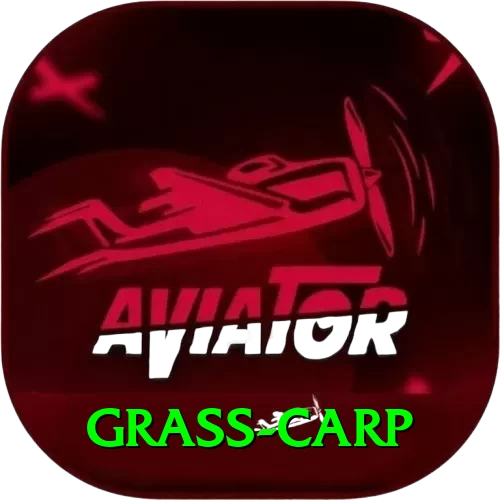 grass carp Pro Max v3.7.8 - 2