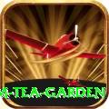 hile ilam tea garden Max v4.6.4