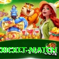 india cricket match Deluxe v3.4.8