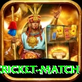 india pakistan cricket match Deluxe Pro v4.7.7
