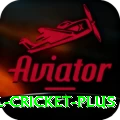 international cricket Plus - Casino & Slots