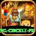make money betting cricket pk Deluxe Pro v2.0.5