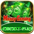 nepal cricket Casino Official v2.1.8