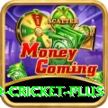 new zealand cricket Live Casino King