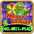 Pakistan Betting Site Pro Gaming App
