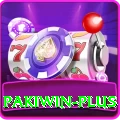 pakiwin VIP Edition v2.5.8