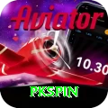 pkspin Premium Edition v2.1.4