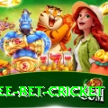 risk free bet cricket VIP Edition v3.8.1
