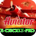 sports cricket Slots King v3.9.3