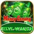 steve waugh Ultimate v4.8.7