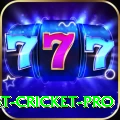 test cricket Slot Machine Deluxe