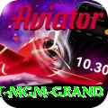 the signature at mgm grand Plus Edition v5.2.1