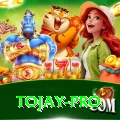 tojay Games (Casino & Earning) Plus v3.9.5