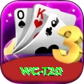wc t20 Deluxe v5.6.2
